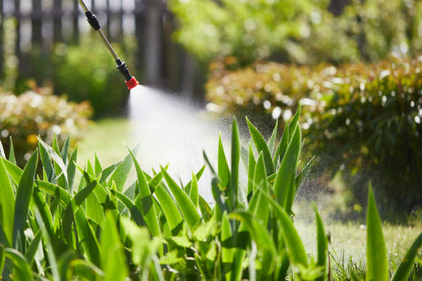 24/7 Emergency Wasp Removal experts in Lynwood, IL